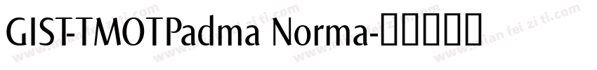 GIST-TMOTPadma Norma字体转换